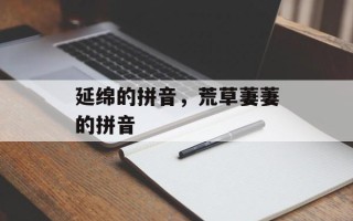 延绵的拼音，荒草萋萋的拼音