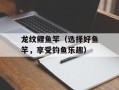 龙纹鲤鱼竿（选择好鱼竿，享受钓鱼乐趣）