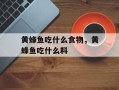 黄蜂鱼吃什么食物，黄蜂鱼吃什么料