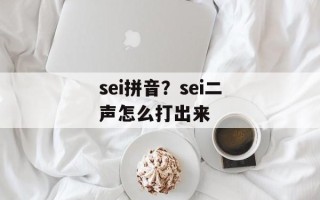 sei拼音？sei二声怎么打出来