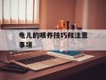 龟儿的喂养技巧和注意事项