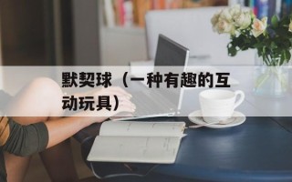默契球（一种有趣的互动玩具）