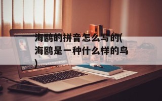 海鸥的拼音怎么写的(海鸥是一种什么样的鸟)