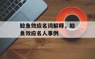 鲶鱼效应名词解释，鲶鱼效应名人事例