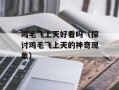 鸡毛飞上天好看吗（探讨鸡毛飞上天的神奇现象）