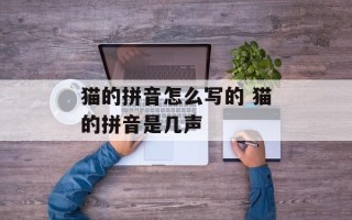 猫的拼音怎么写的 猫的拼音是几声