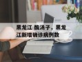 黑龙江 酸汤子，黑龙江新增确诊病例数