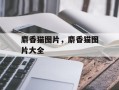 麝香猫图片，麝香猫图片大全