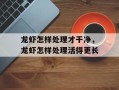 龙虾怎样处理才干净，龙虾怎样处理活得更长