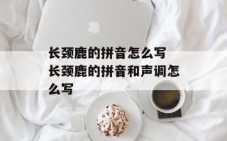长颈鹿的拼音怎么写 长颈鹿的拼音和声调怎么写
