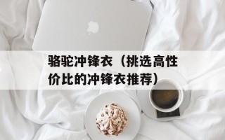 骆驼冲锋衣（挑选高性价比的冲锋衣推荐）