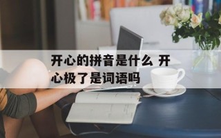 开心的拼音是什么 开心极了是词语吗