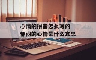 心情的拼音怎么写的 郁闷的心情是什么意思