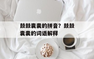 鼓鼓囊囊的拼音？鼓鼓囊囊的词语解释
