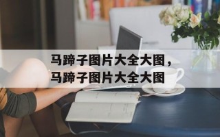 马蹄子图片大全大图，马蹄子图片大全大图