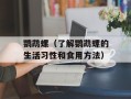 鹦鹉螺（了解鹦鹉螺的生活习性和食用方法）