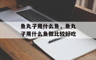 鱼丸子用什么鱼，鱼丸子用什么鱼做比较好吃