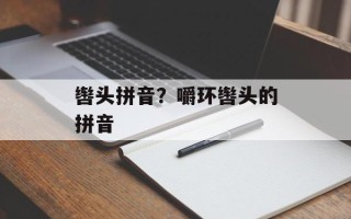 辔头拼音？嚼环辔头的拼音