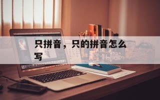 只拼音，只的拼音怎么写