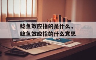 鲶鱼效应指的是什么，鲶鱼效应指的什么意思
