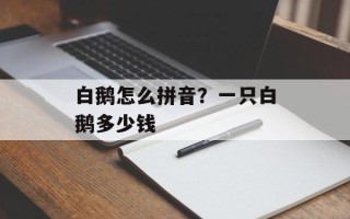 白鹅怎么拼音？一只白鹅多少钱