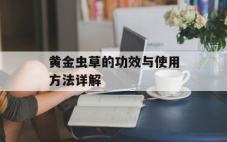 黄金虫草的功效与使用方法详解