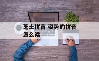 芝士拼音 姿势的拼音怎么读