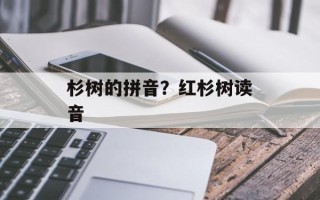 杉树的拼音？红杉树读音