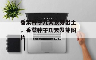 香菜种子几天发芽出土，香菜种子几天发芽图片