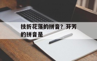 技折花落的拼音？芬芳的拼音是