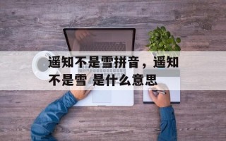 遥知不是雪拼音，遥知不是雪 是什么意思