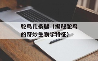 鸵鸟几条腿（揭秘鸵鸟的奇妙生物学特征）