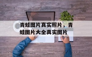 青蛙图片真实照片，青蛙图片大全真实图片