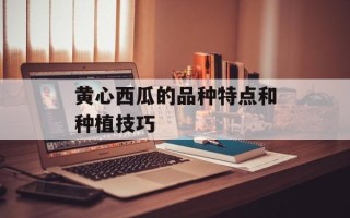 黄心西瓜的品种特点和种植技巧