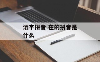 洒字拼音 在的拼音是什么