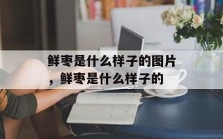 鲜枣是什么样子的图片，鲜枣是什么样子的