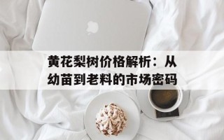 黄花梨树价格解析：从幼苗到老料的市场密码