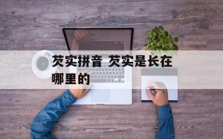 芡实拼音 芡实是长在哪里的