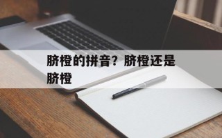 脐橙的拼音？脐橙还是脐橙