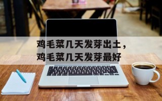 鸡毛菜几天发芽出土，鸡毛菜几天发芽最好