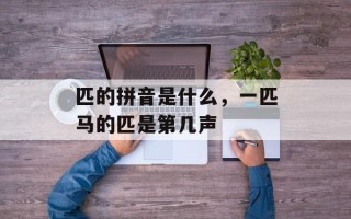 匹的拼音是什么，一匹马的匹是第几声