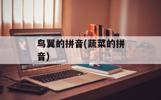 鸟翼的拼音(蔬菜的拼音)