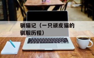 驯猫记（一只顽皮猫的驯服历程）