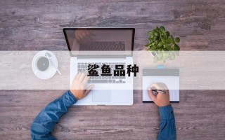 鲨鱼品种