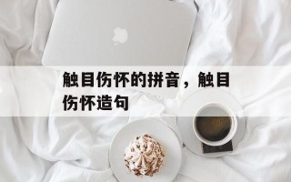 触目伤怀的拼音，触目伤怀造句