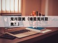 龙川亚美（谁是龙川亚美？）