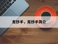 龙抄手，龙抄手简介