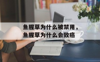 鱼腥草为什么被禁用，鱼腥草为什么会致癌