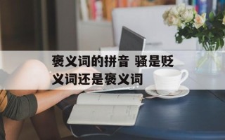 褒义词的拼音 骚是贬义词还是褒义词