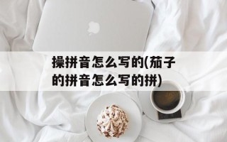 操拼音怎么写的(茄子的拼音怎么写的拼)